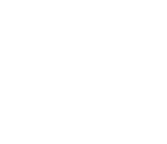 Stanford Political Review