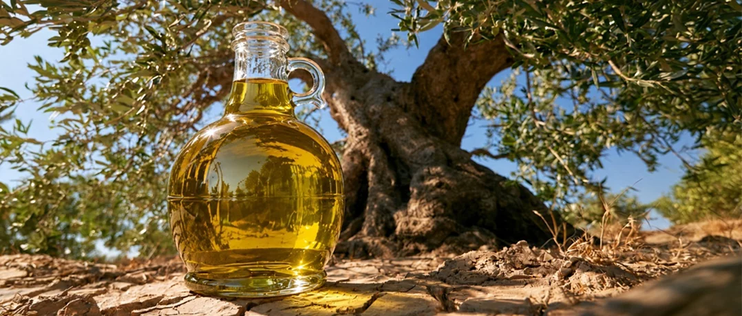 Lebanon’s golden harvest in the line of fire