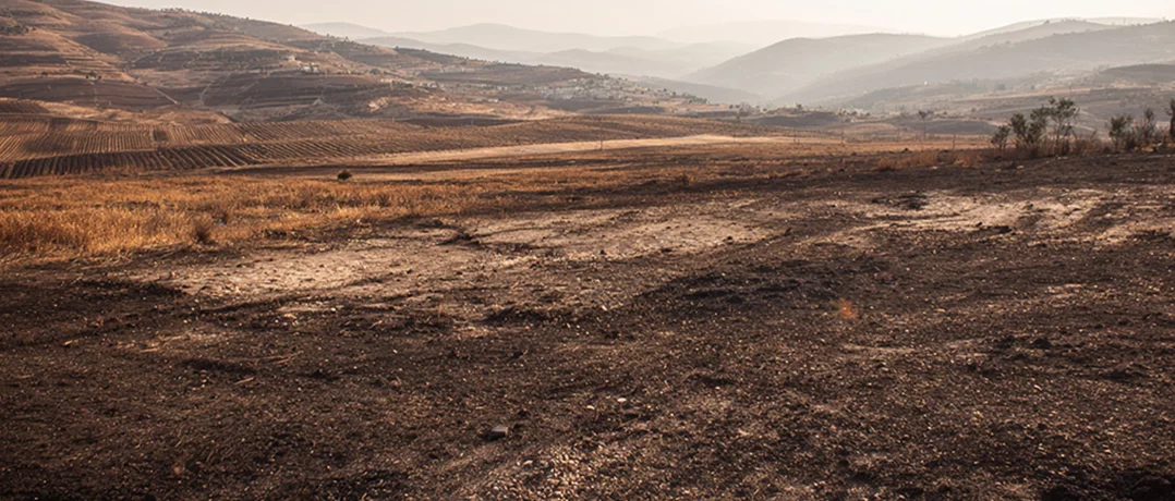 Southern Lebanon under Israeli toxic chemical exposure