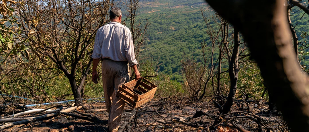 In southern Lebanon, war is burning the harvest