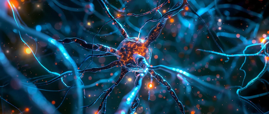 Neurowellness moves wellness beyond metrics