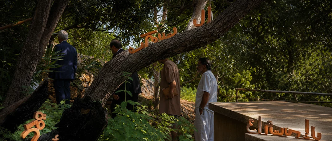 Light and dust: Ancient ties renewed