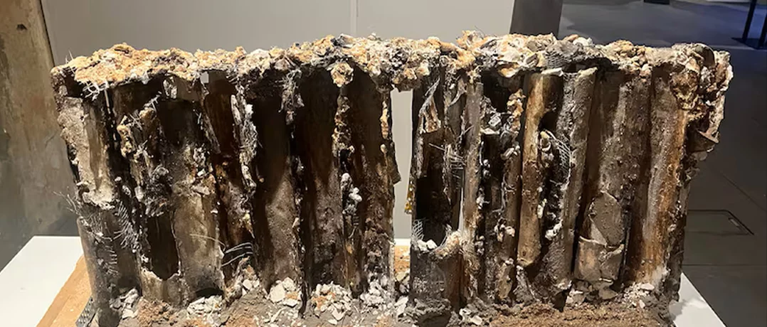 When Lebanese trauma becomes art