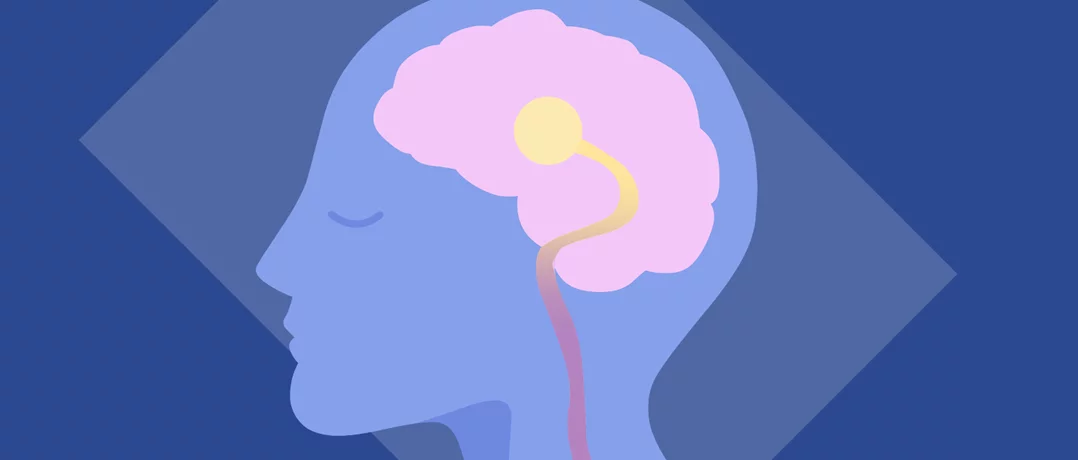 Could the next GLP-1 target the brain?