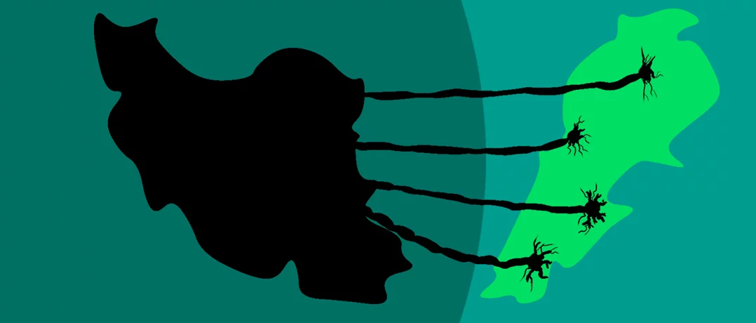 From absence to dominance: Iran’s long road into Lebanon’s Shiite sphere