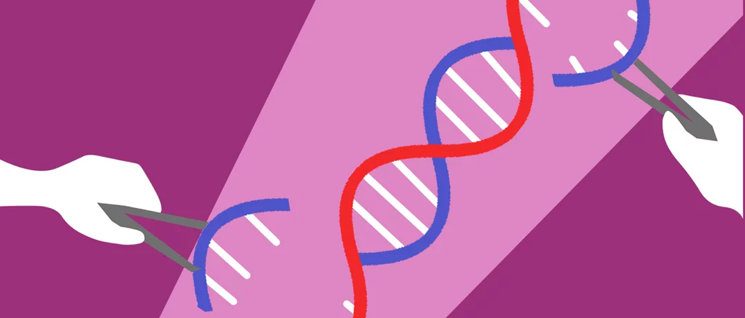 CRISPR can cure disease. It can also divide us.