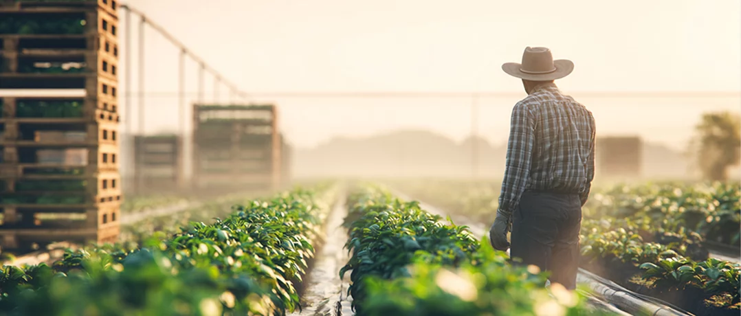 Lebanese agriculture reclaimed by its people