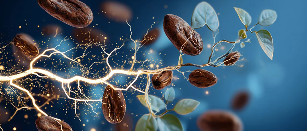 Cocoa and tea could protect your heart 