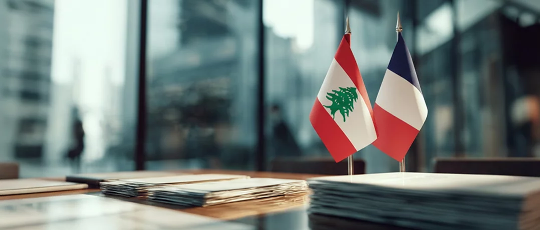 Fiscal gap law faces criticism from Lebanese-French advocacy group
