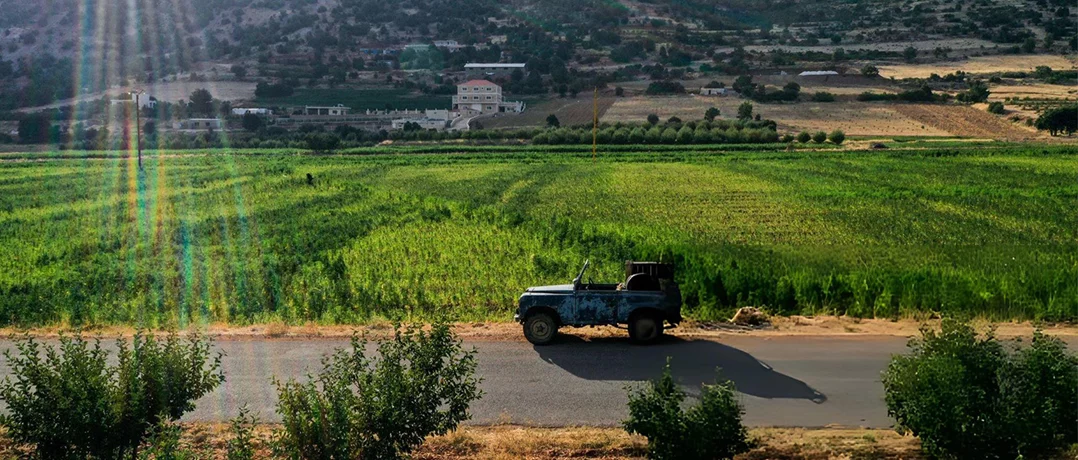 The green revolution: Lebanon’s bid to legalize what it long outlawed