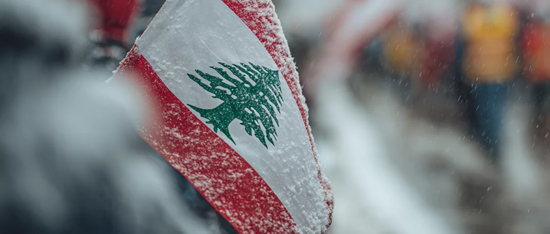 Exclusive to The Beiruter: From Montreal to Ottawa, Lebanese diaspora rises for the right to vote