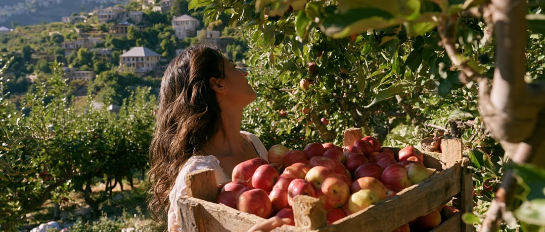 Giving Lebanon’s apples a second life