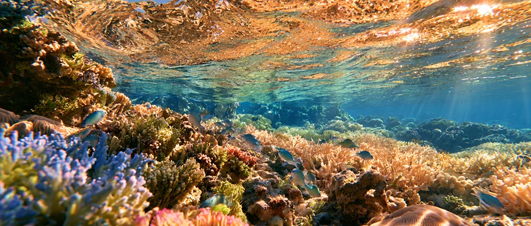World’s oceans absorbed record heat equal to 40 times annual global energy use
