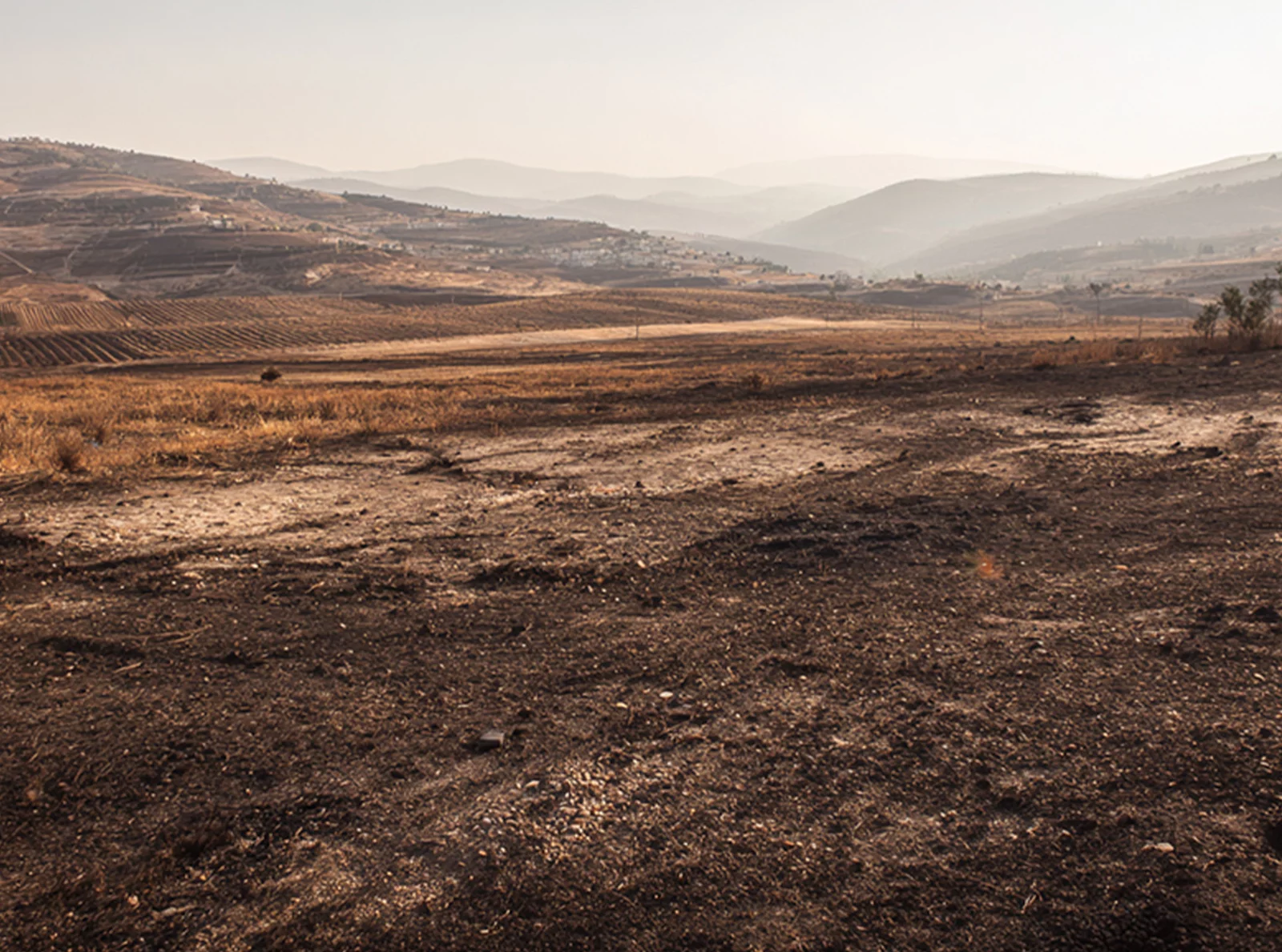southern-lebanon-under-israeli-toxic-chemical-exposure