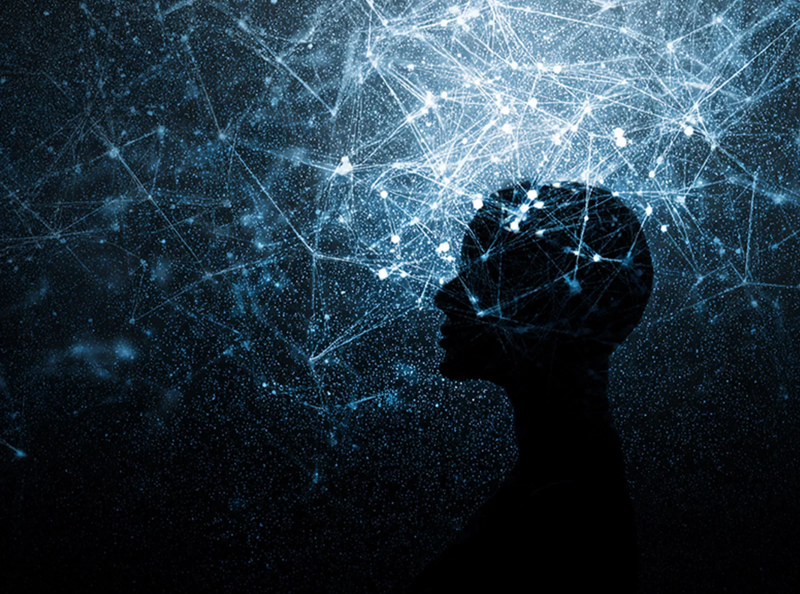 inside-lebanon’s-digital-training-platform