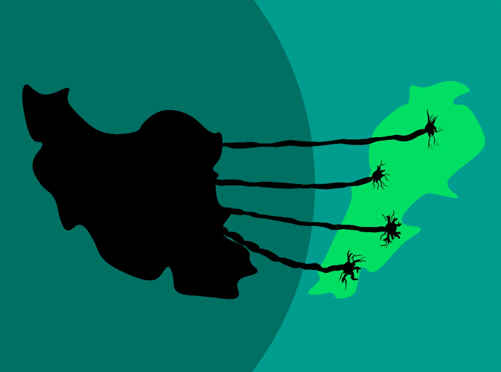 from-absence-to-dominance-iran’s-long-road-into-lebanon’s-shiite-sphere