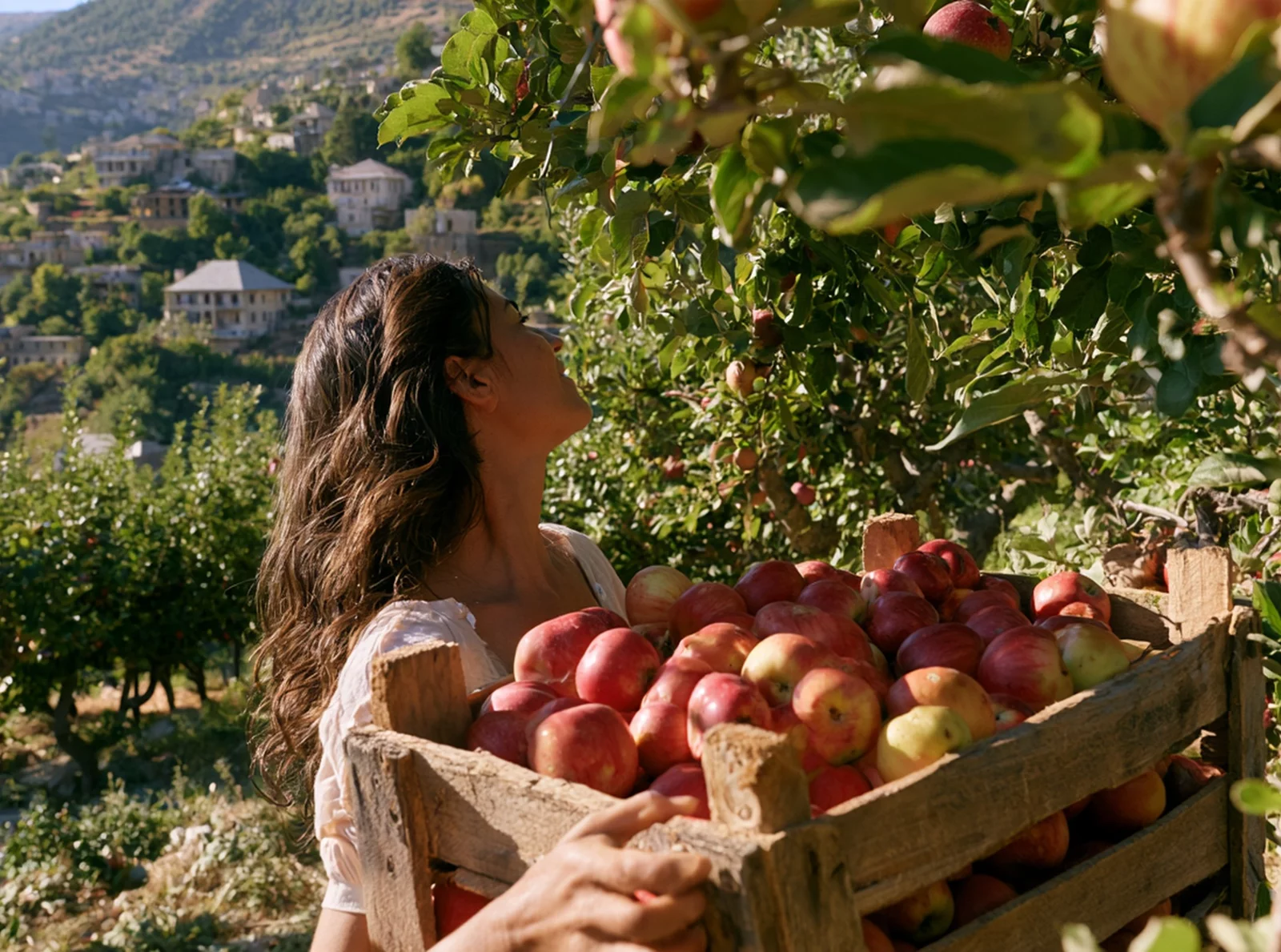 giving-lebanon’s-apples-a-second-life