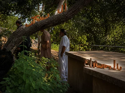 Light and dust: Ancient ties renewed