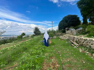 Lebanon's rural women are working. Can they make a living?