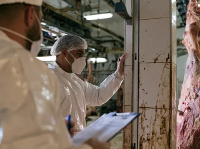 Rotten meat, hidden slaughterhouses: What Sabra reveals
