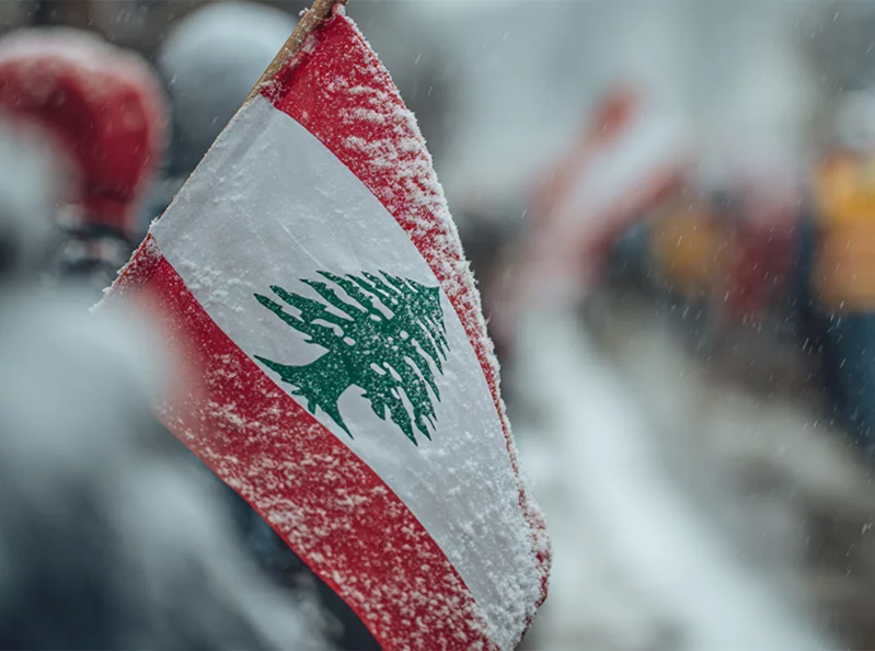 Exclusive to The Beiruter: From Montreal to Ottawa, Lebanese diaspora rises for the right to vote