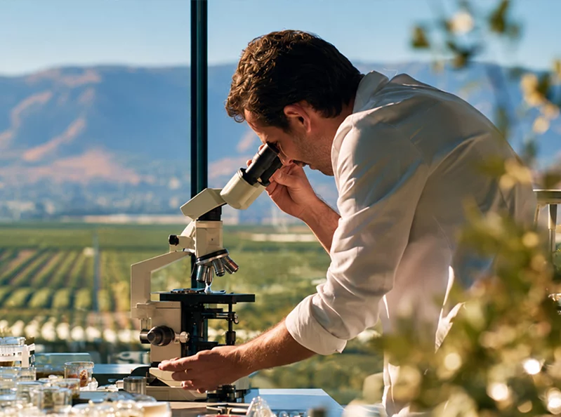 Cultivating Lebanon’s agricultural scientific future