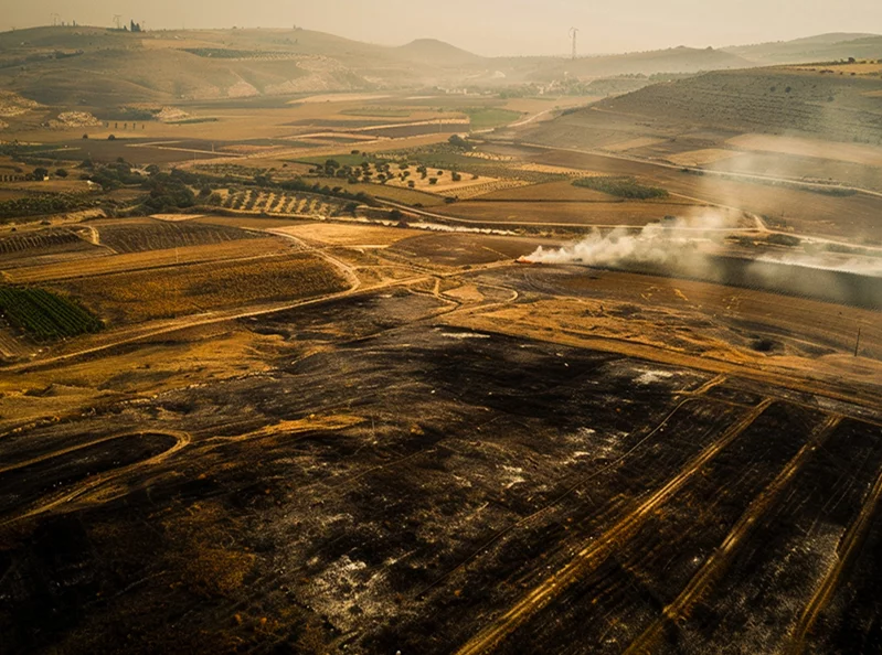 The fields that fed Lebanon are falling silent