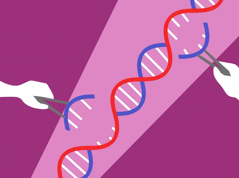 CRISPR can cure disease. It can also divide us.