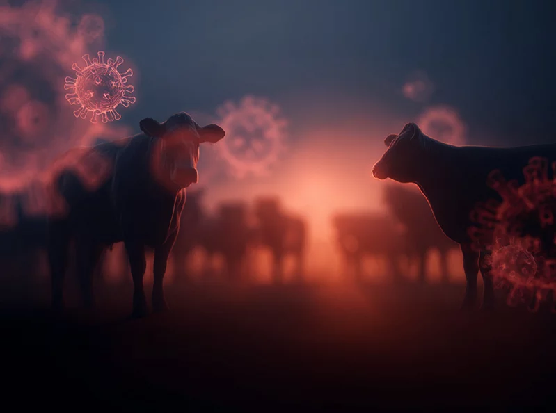 FAO steps in to support Lebanon’s livestock sector