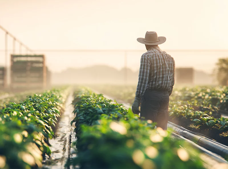 Lebanese agriculture reclaimed by its people