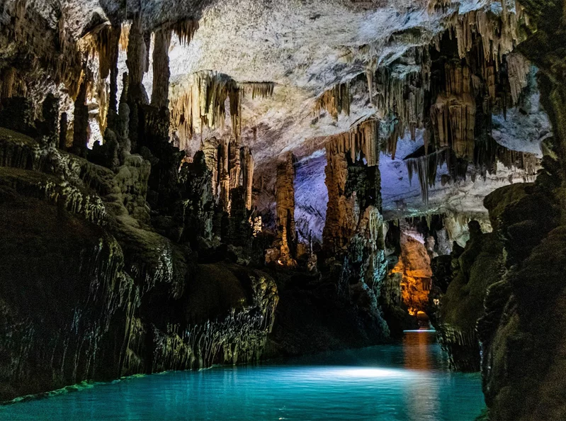 We are an Environmental Disaster